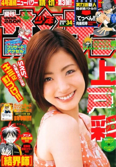 Cover of No. 34, 2006
