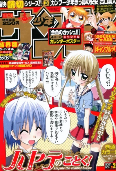 Cover of No. 25, 2007