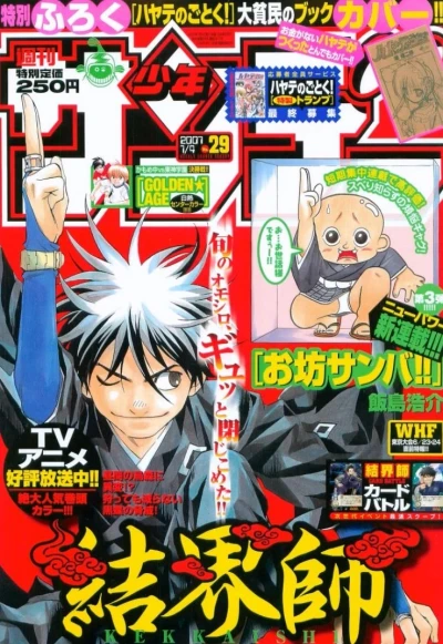 Cover of No. 29, 2007