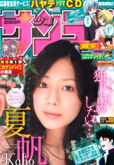 Cover of No. 30, 2007