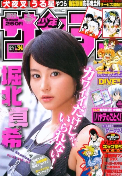 Cover of No. 34, 2007