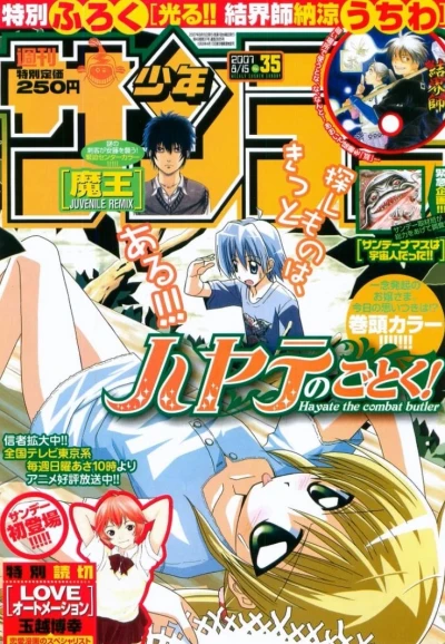 Cover of No. 35, 2007