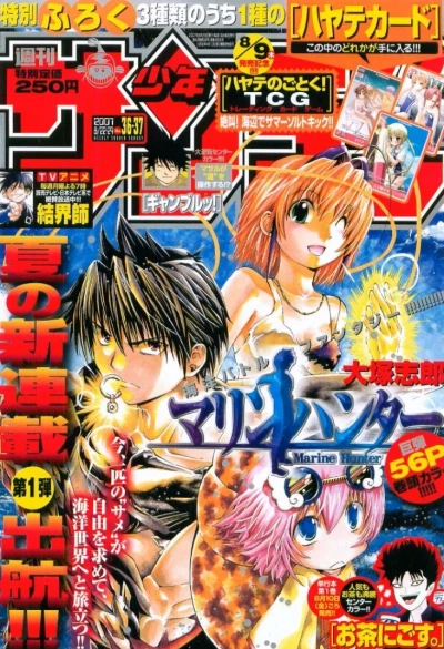 Cover of No. 36-37, 2007
