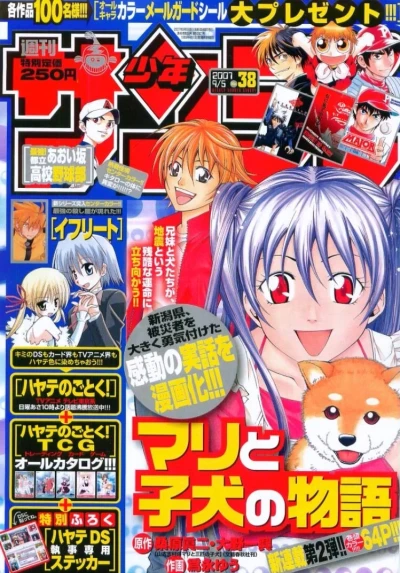 Cover of No. 38, 2007