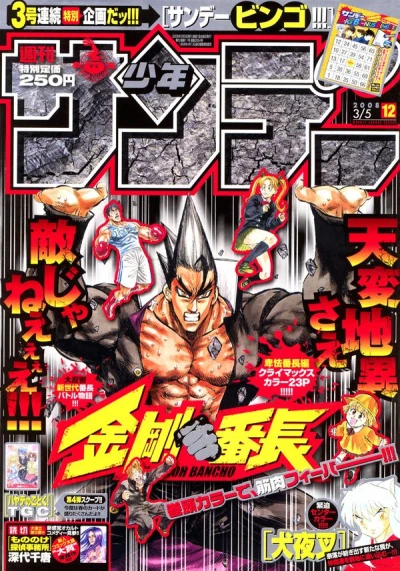 Cover of No. 12, 2008