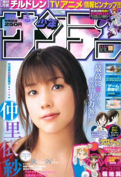 Cover of No. 13, 2008