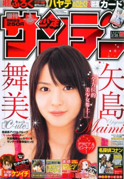 Cover of No. 15, 2008