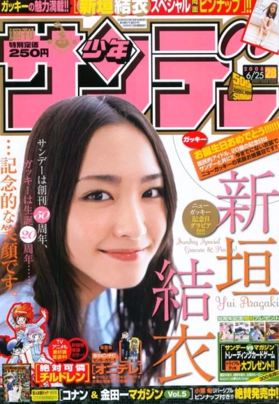 Cover of No. 28, 2008