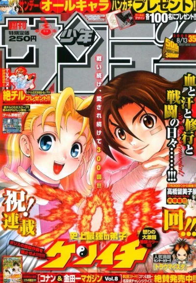 Cover of No. 35, 2008
