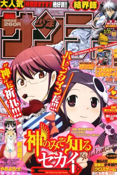 Cover of No. 11, 2009