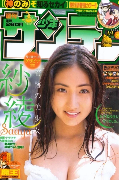 Cover of No. 25, 2009