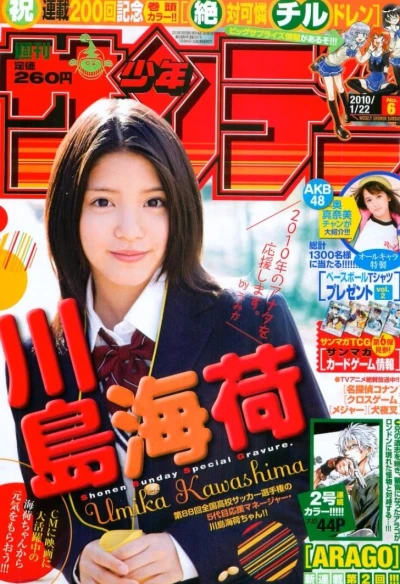 Cover of No. 6, 2010