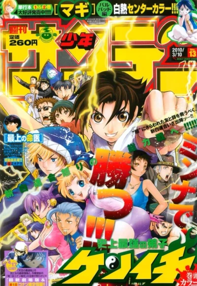 Cover of No. 13, 2010