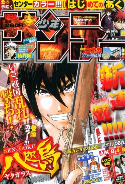 Cover of No. 25, 2010