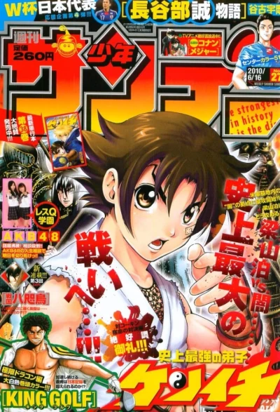 Cover of No. 27, 2010