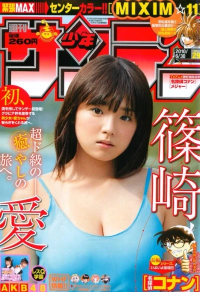 Cover of No. 29, 2010