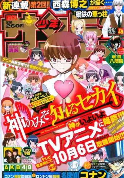 Cover of No. 45, 2010