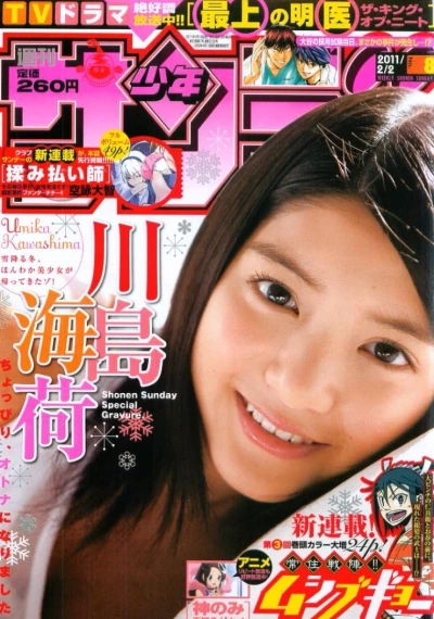 Cover of No. 8, 2011