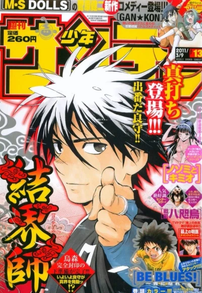 Cover of No. 13, 2011