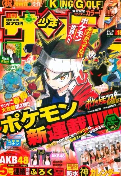 Cover of No. 15, 2011