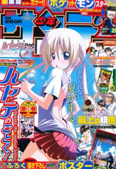 Cover of No. 25, 2011