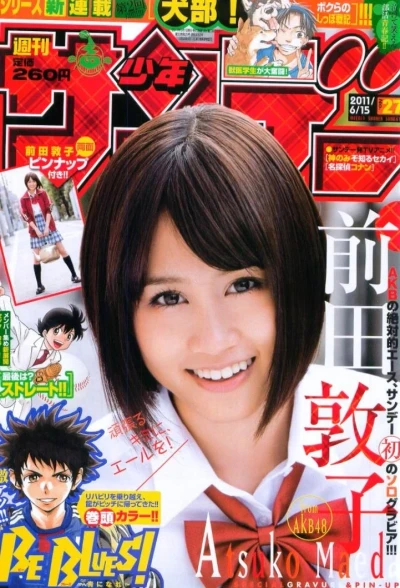 Cover of No. 27, 2011