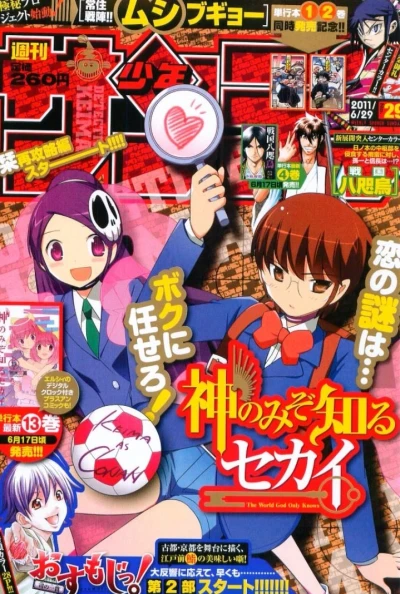 Cover of No. 29, 2011