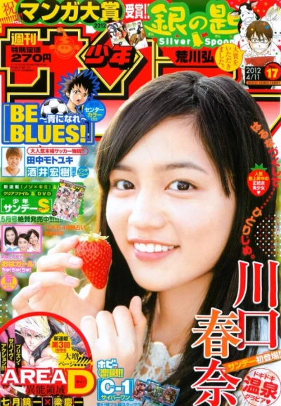 Cover of No. 17, 2012