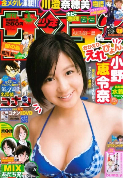 Cover of No. 28, 2012