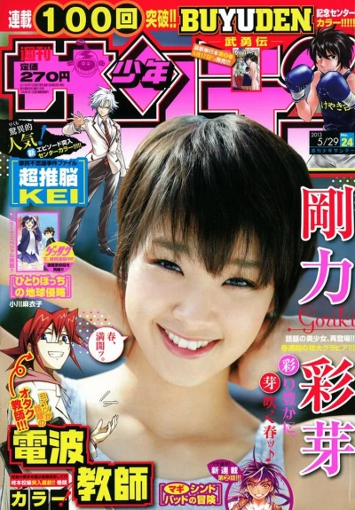 Cover of No. 24, 2013