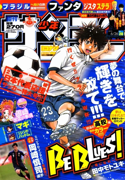 Cover of No. 28, 2013