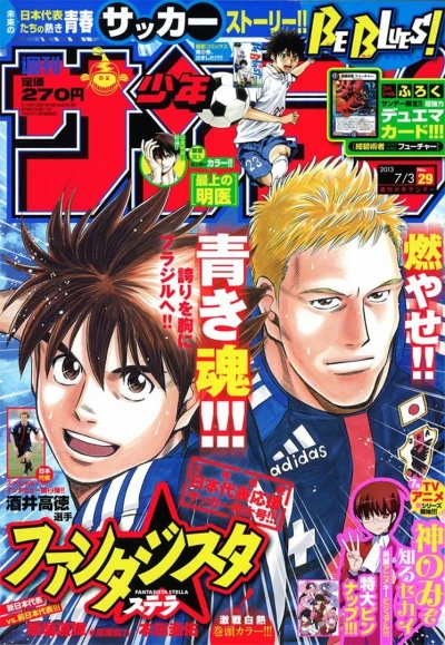 Cover of No. 29, 2013