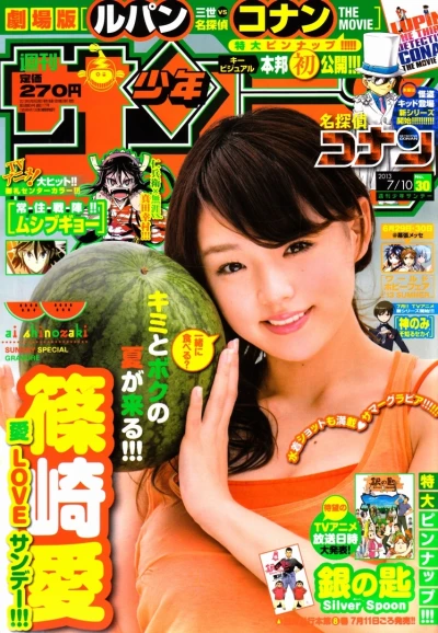 Cover of No. 30, 2013