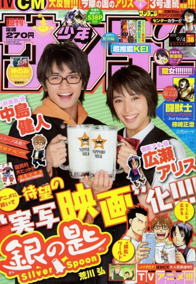 Cover of No. 38, 2013