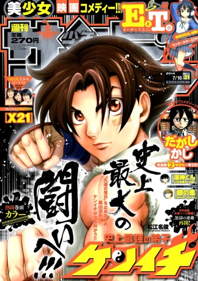 Cover of No. 31, 2014