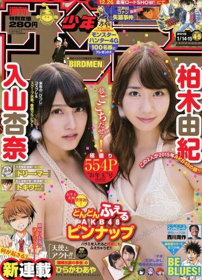 Cover of No. 4-5, 2015