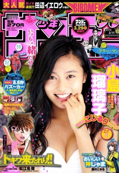 Cover of No. 13, 2015