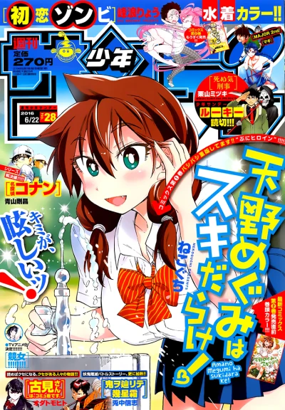 Cover of No 28, 2016