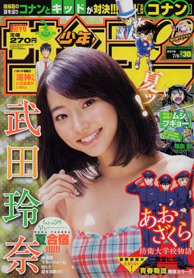 Cover of No. 30, 2016