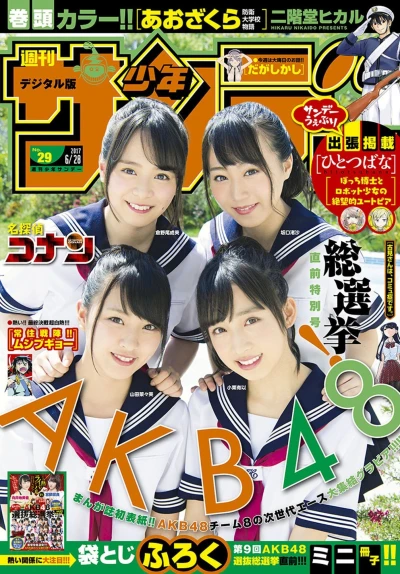 Cover of No. 29, 2017