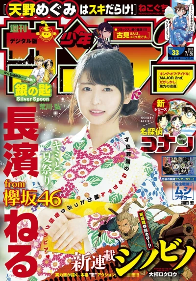 Cover of No. 33, 2017