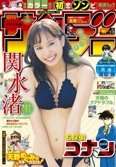 Cover of No. 41, 2017