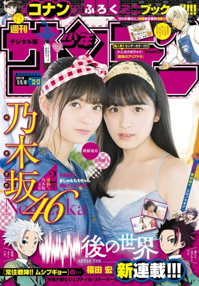 Cover of No. 22-23, 2018