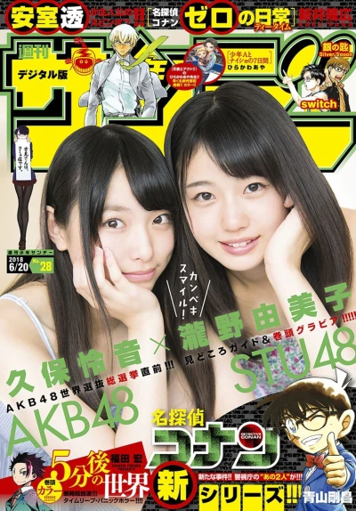 Cover of No. 28, 2018