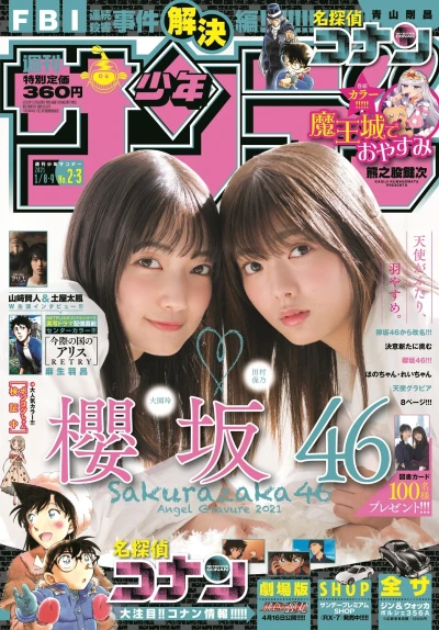 Cover of No. 2-3, 2021