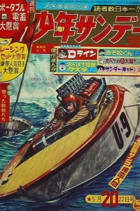 No. 20, 1966