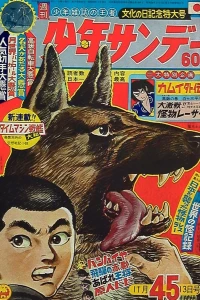 No. 45, 1966