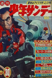 No. 30, 1967