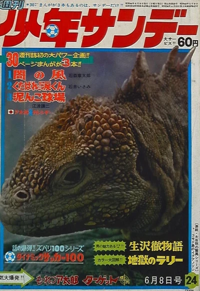 Cover of No. 24, 1969