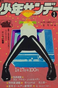 No. 3, 1971